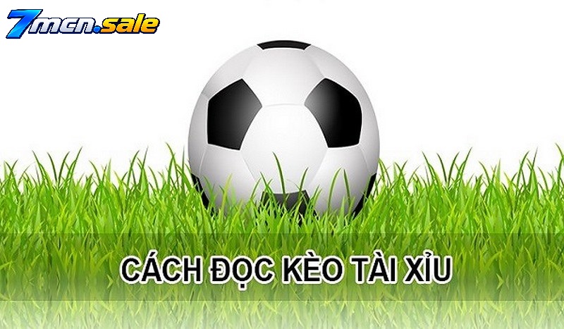 Kèo Tài Xỉu Là Gì?