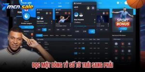Bố Cục Chi Tiết Và Hướng Dẫn Đọc Bảng Livescore 7m