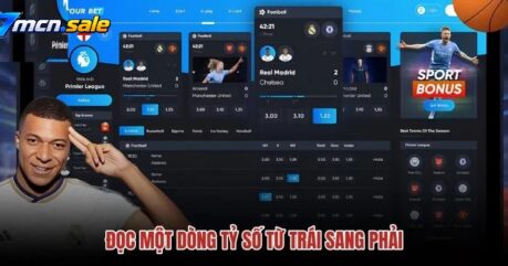 Hướng Dẫn Đọc Bảng Livescore 7m Chi Tiết Từ A Đến Z Cho Người Mới