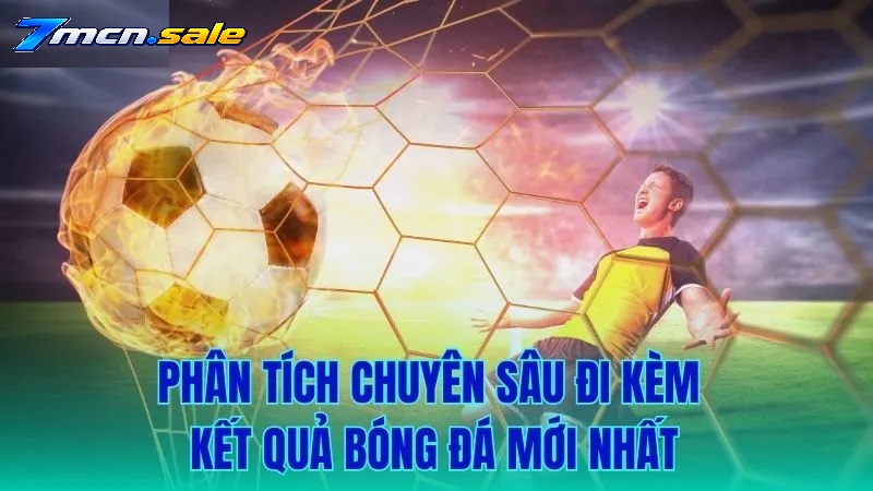 Các Tính Năng Nổi Bật Của Livescore 7m