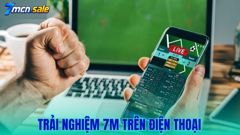 Cấu Trúc Bố Cục & Các Phân Cấp Dữ Liệu Trên 7M Mobile