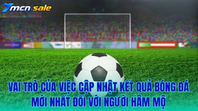 Tối Ưu Trải Nghiệm Trên Thiết Bị Di Động (7m Mobile)